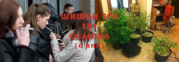гашик Богородск