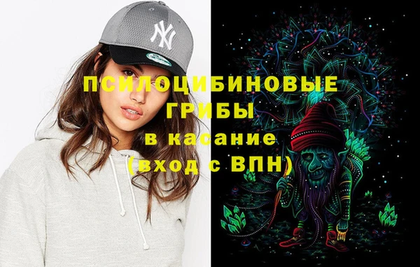 крисы Протвино