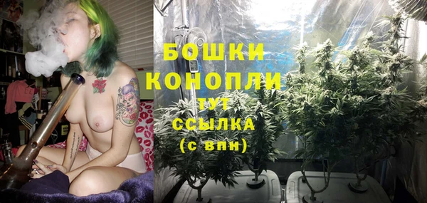 гашик Богородск