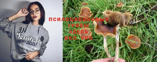 mdma Богданович
