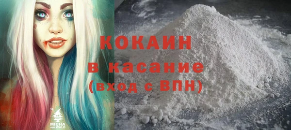 гашик Богородск